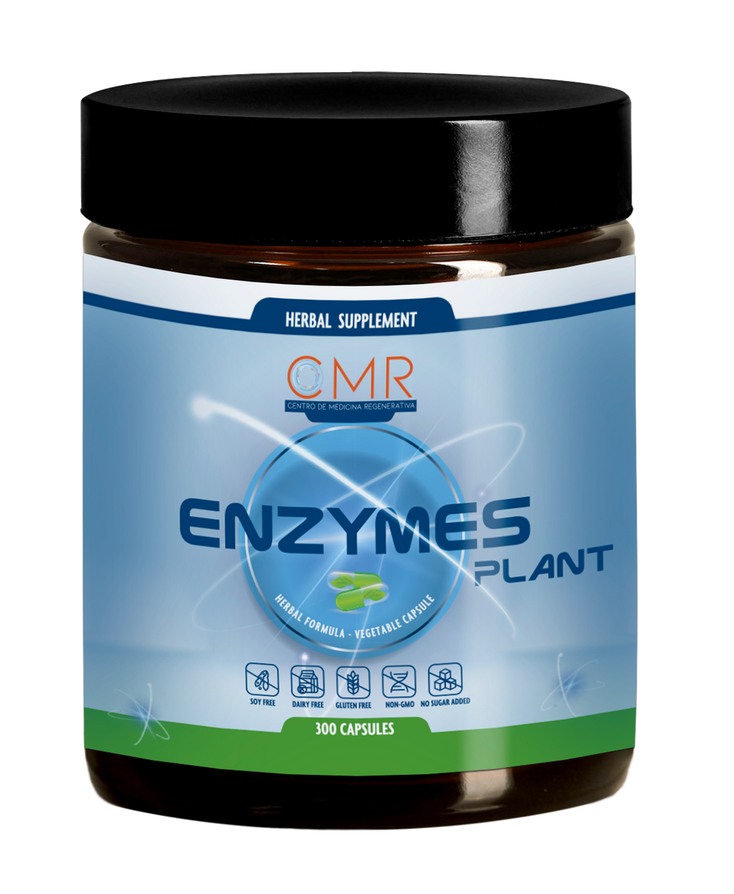 Enzymes Plant